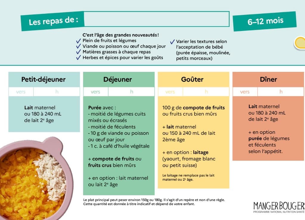 Illustration — Alimentation de bébé de 6 à 12 mois : textures, digestion et ostéopathie