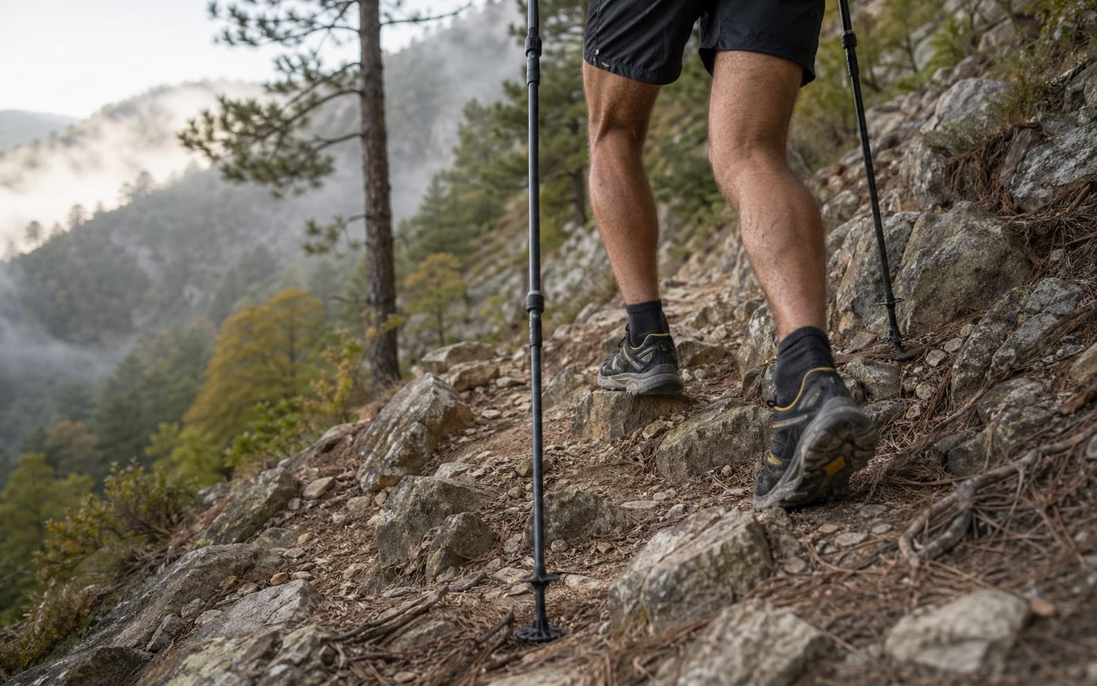 Illustration — Trail de Petralbinca : ostéopathie et trail montagne en Haute-Corse